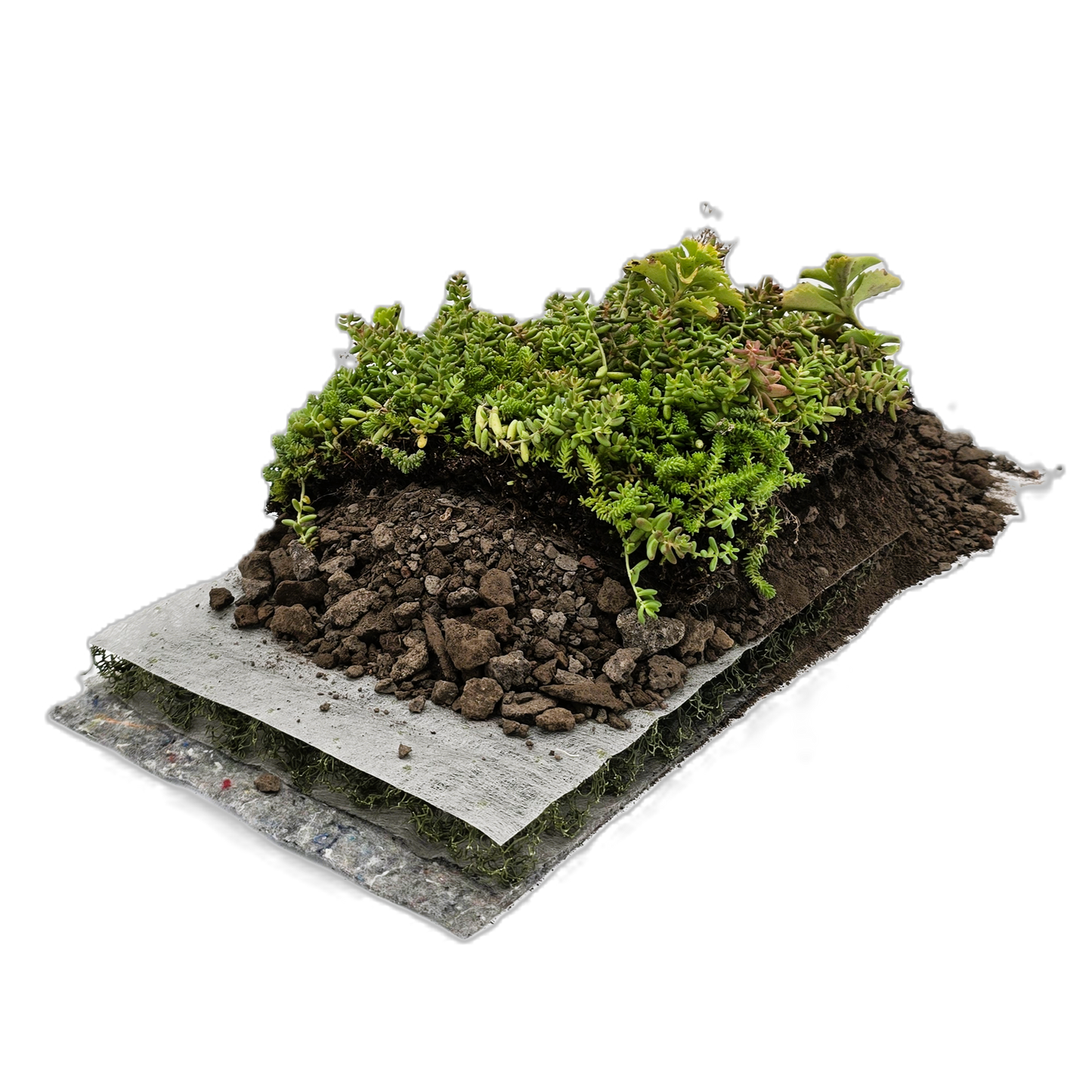 Komplettsystem als klassischer Substrataufbau mit fertig begrünter SEMA-natur Vegetationsmatte auf Kokosträger, Extensivsubstrat, Dränmatte ENKA 3D