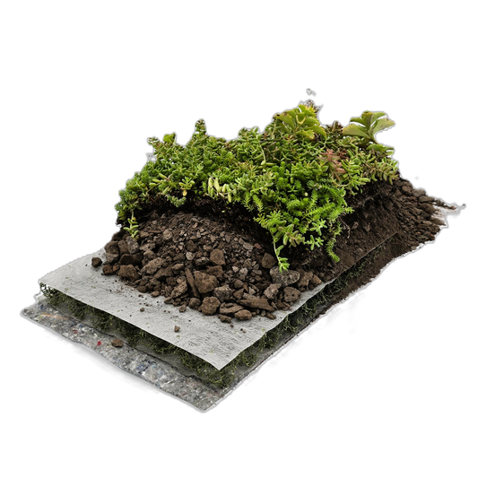 Komplettsystem als klassischer Substrataufbau mit fertig begrünter SEMA-natur Vegetationsmatte auf Kokosträger, Extensivsubstrat, Dränmatte ENKA 3D