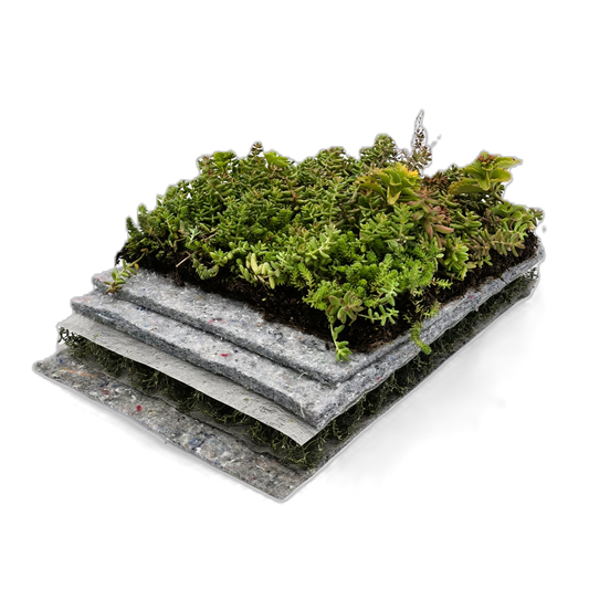 Komplettsystem als substratloser Extensiv-Leichtaufbau mit geringer Aufbauhöhe und fertig begrünter SEMA exklusiv Vegetationsmatte. Dränmatte ENKA 3D, 300 g/m² Schutzvlies